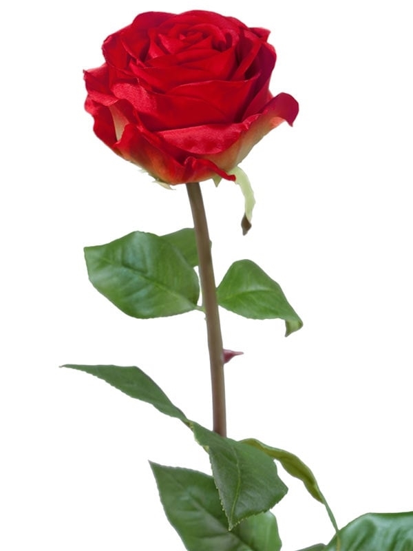 Роза Соло Нью большая красная (искусственная) Treez Collection - фото 65207