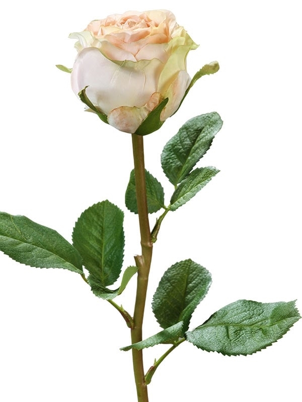 Роза Эсперанса Мидл бледно-розвая с лаймом (искусственная) Treez Collection - фото 65220