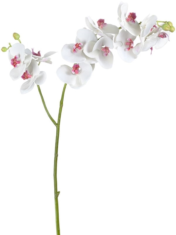 Орхидея Фаленопсис белая с роз.сердцевинкой ветвь двойная (искусственная) Treez Collection - фото 65248