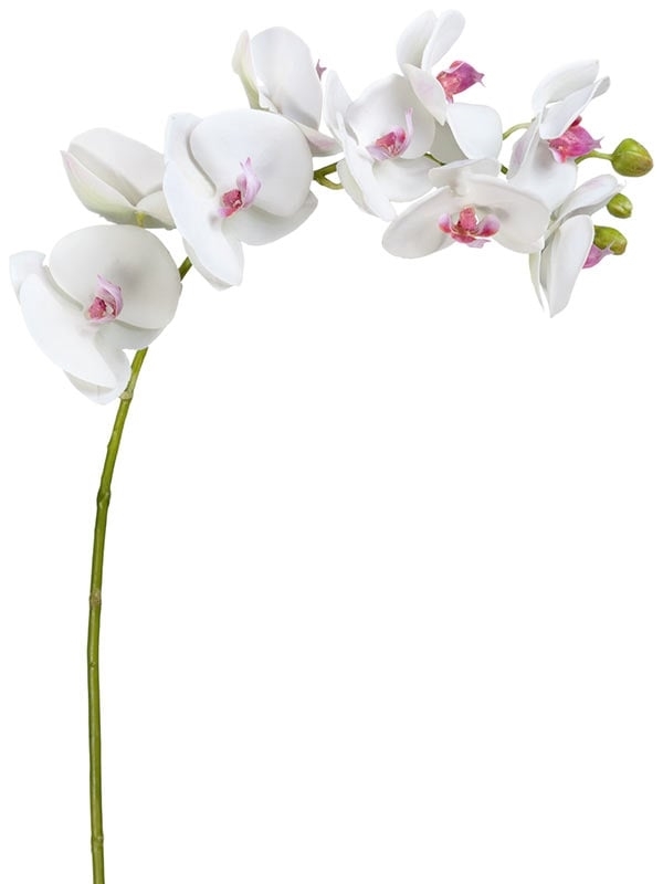 Орхидея Фаленопсис белая с розовой сердцевинкой ветвь (искусственная) Treez Collection - фото 65250