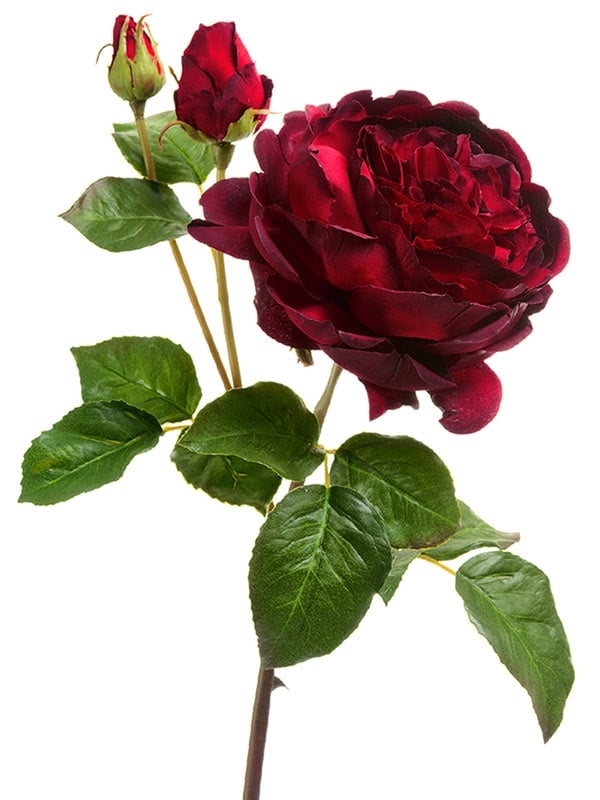 Роза Дэвид Остин Роял ветвь бордово-красная (искусственная) Treez Collection - фото 65301