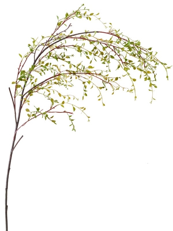 Анжела вайн (искусственная) зёленая (ветка Муленбекии) Treez Collection - фото 65319