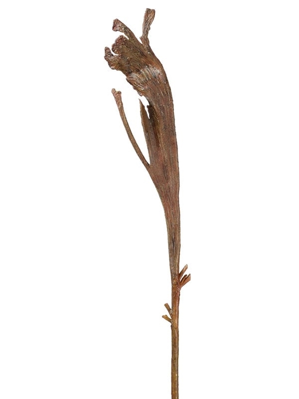 Ветка Салекса коричневая (искусственная) Treez Collection - фото 65370