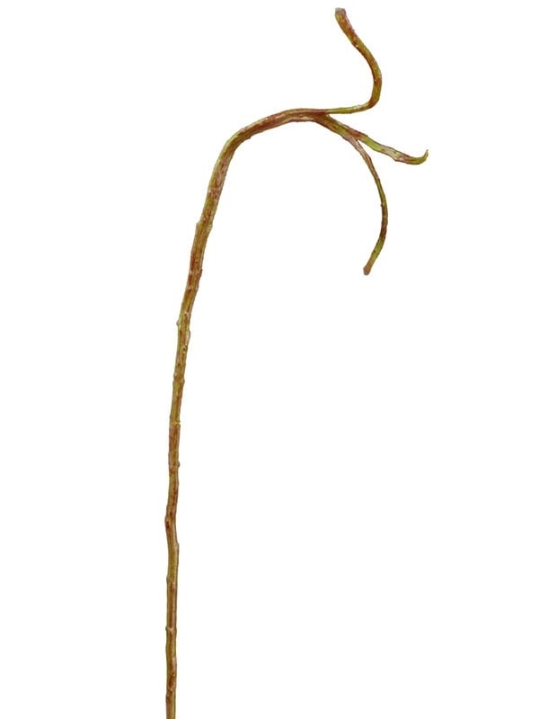Ветка Салекса тонкая зёлено-коричневая (искусственная) Treez Collection - фото 65374
