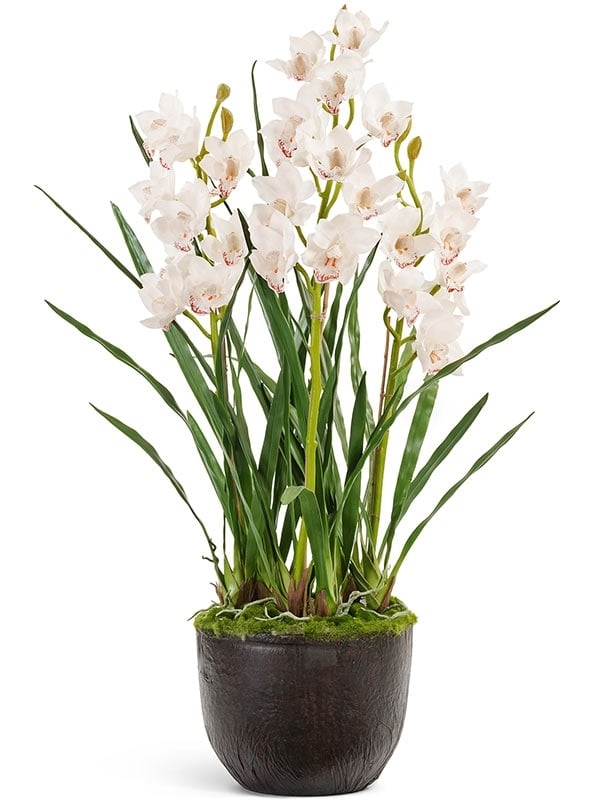 Орхидея Цимбидиум куст белый с имитацией земли (без кашпо) (Real Touch) искусственная Treez Collection - фото 65435