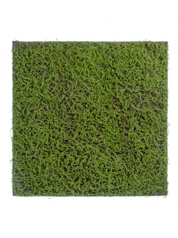 Мох Сфагнум Fuscum зелёный (полотно на подложке большое) искусственный Treez Collection - фото 65454