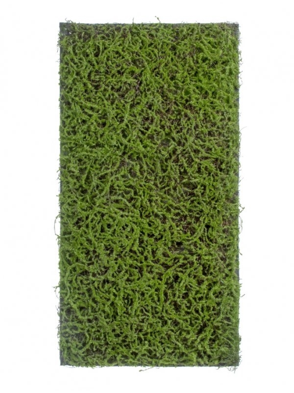 Мох Сфагнум Fuscum зелёный (полотно на подложке среднее) искусственный Treez Collection - фото 65455