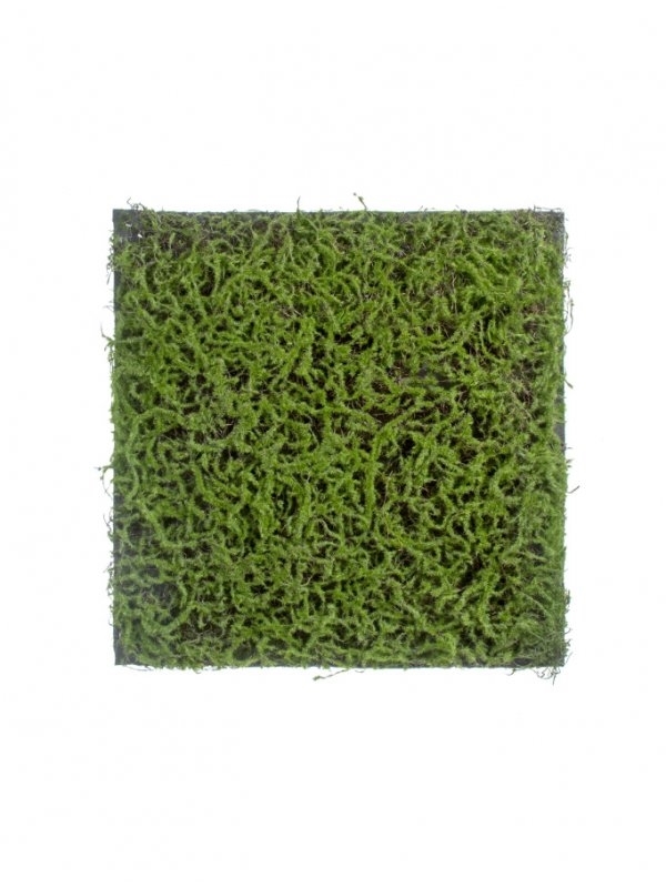 Мох Сфагнум Fuscum зелёный (полотно на подложке) искусственный Treez Collection - фото 65456