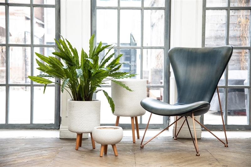 Растения в кашпо на ножках