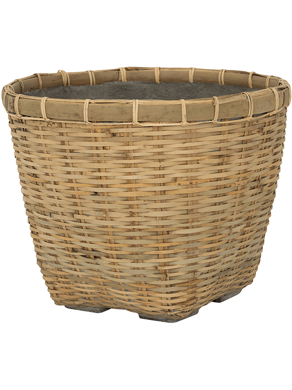 Кашпо Bohemian enrico bamboo (Pottery Pots) - фото 67146