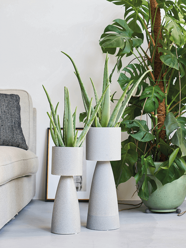 Кашпо D&m indoor pot fort grey (Nieuwkoop Europe) Купить с доставкой в