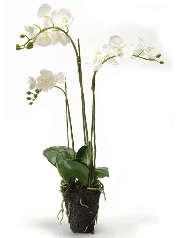 Орхидея Фаленопсис с землёй 75 (искусственная) Nieuwkoop Europe - фото 71937