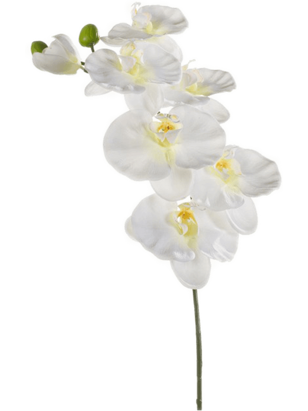 Орхидея Фаленопсис ветвь 80 (искусственная) Nieuwkoop Europe - фото 71939