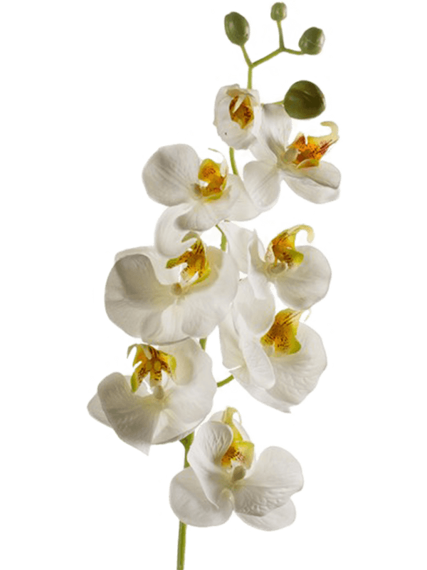Орхидея Фаленопсис ветвь 68 (искусственная) Nieuwkoop Europe - фото 71940