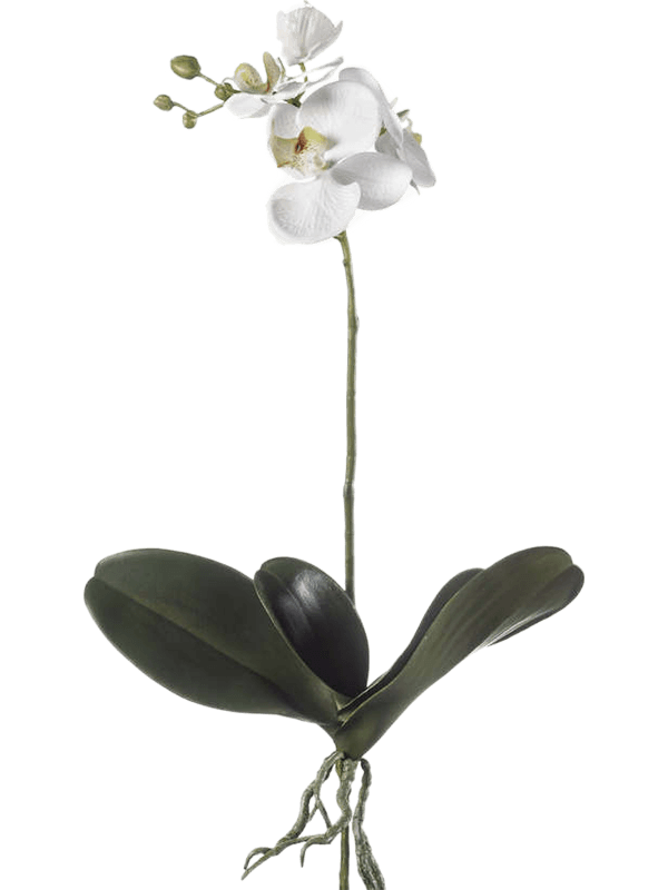 Листья Орхидеи Фаленопсис (искусственные) Nieuwkoop Europe - фото 71941