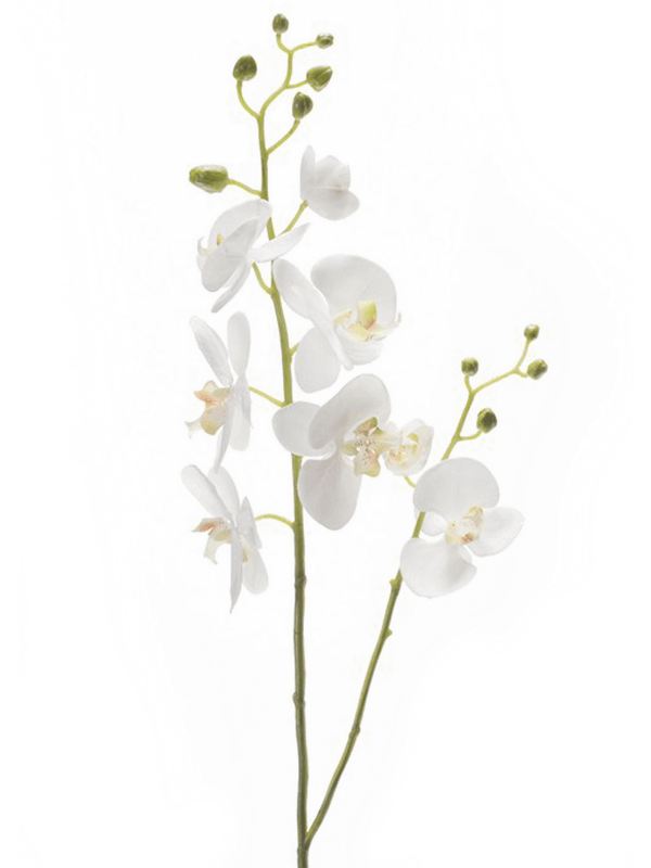 Орхидея Фаленопсис двойная ветвь 95 (искусственная) Nieuwkoop Europe - фото 71942