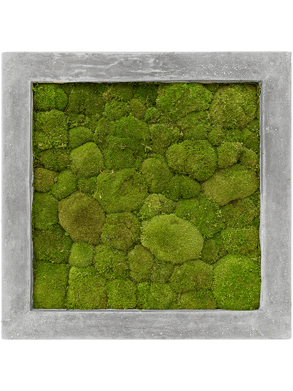 Картина из мха polystone raw grey 50/50/5 100% ball moss - фото 72162