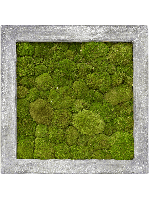 Картина из мха polystone raw grey 70/70/5 100% ball moss - фото 72163