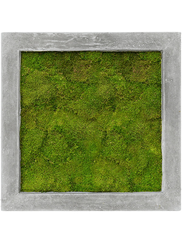 Картина из мха polystone raw grey 50/50/5 100% flat moss - фото 72164