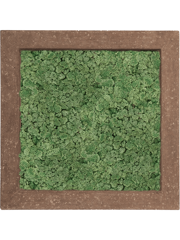 Картина из мха polystone rock 100% reindeer moss 70/70/5 (moss green) 19373 - фото 72177