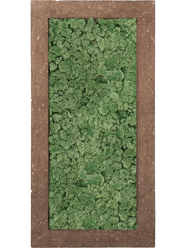 Картина из мха polystone rock 100% reindeer moss 100/50/5 (moss green) - фото 72178