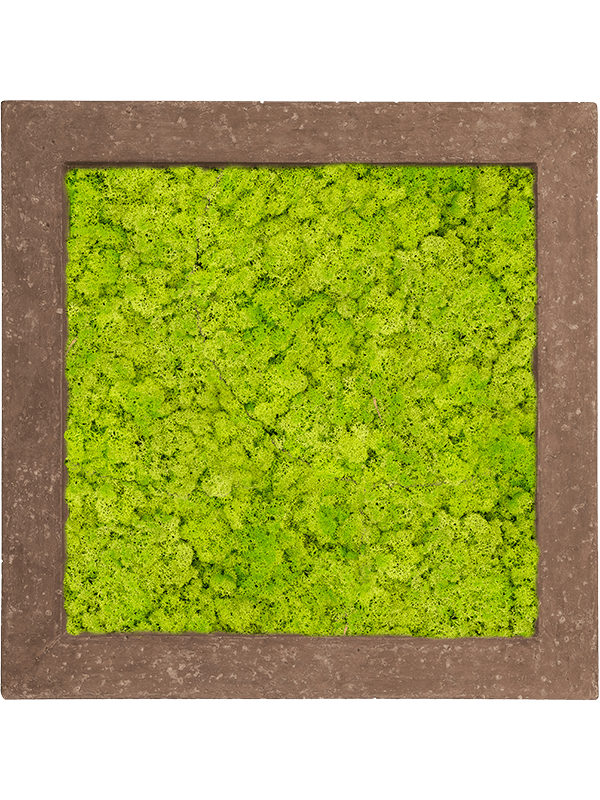 Картина из мха polystone rock 100% reindeer moss 70/70/5 (spring green) - фото 72179