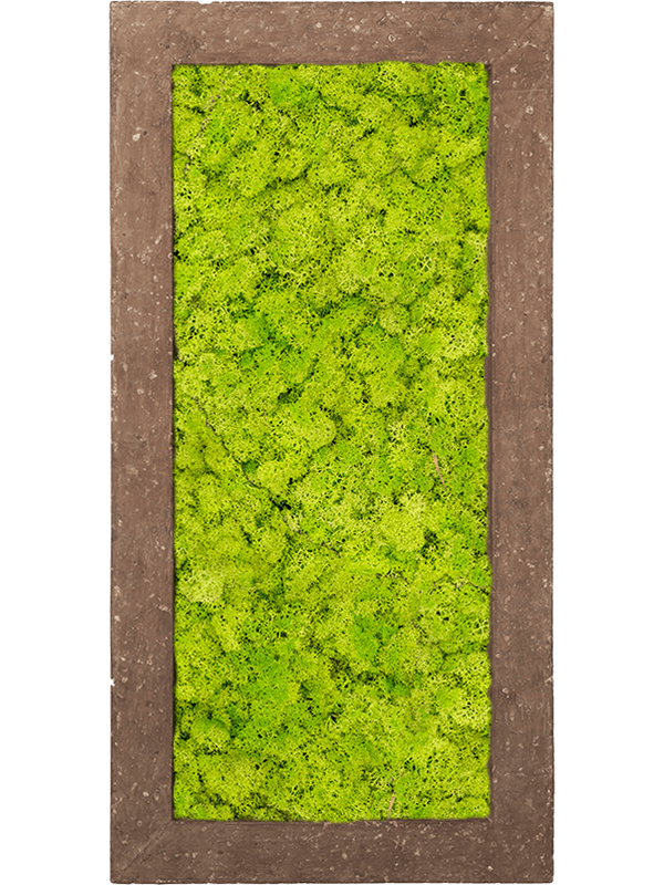 Картина из мха polystone rock 100% reindeer moss 100/50/5 (spring green) - фото 72180