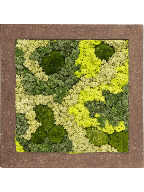 Картина из мха polystone rock 30% ball moss 70% reindeer moss (mix) - фото 72181