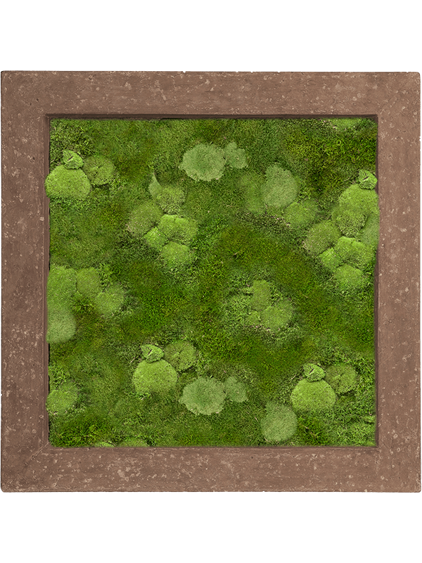 Картина из мха polystone rock 70/70/5 30% ball- and 70% flat moss 19391 - фото 72183