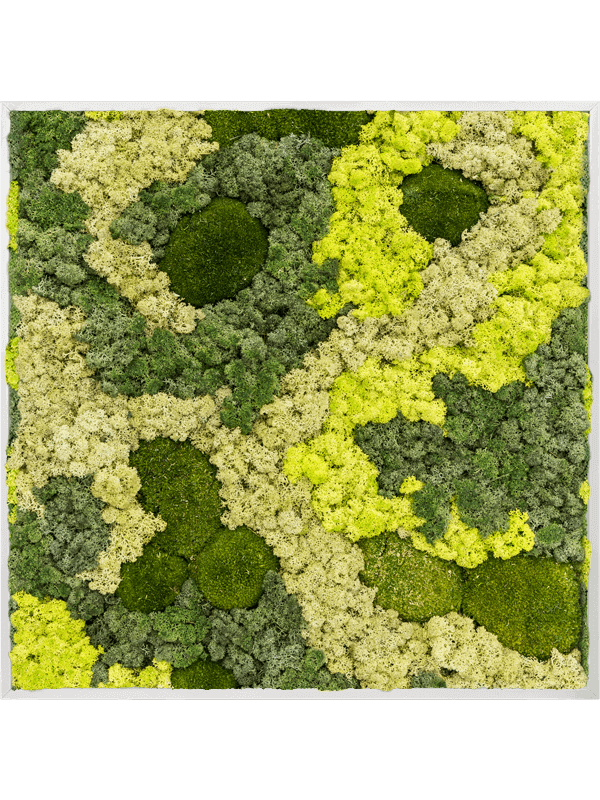 Картина из мха aluminum 30% ball moss 70% reindeer moss 120/120/6 (mix) - фото 72225
