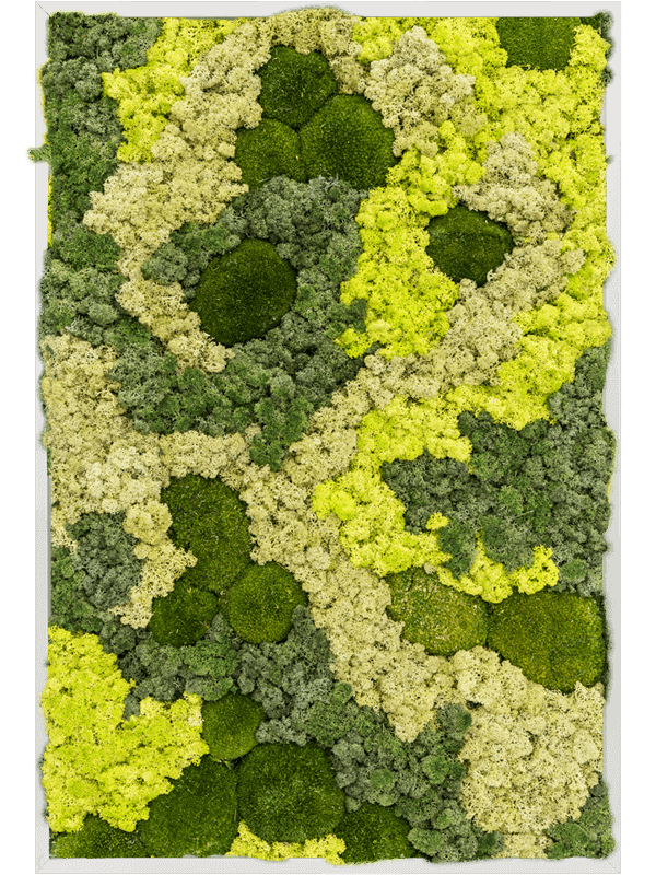 Картина из мха aluminum 30% ball moss 70% reindeer moss 80/120/6 (mix) - фото 72235