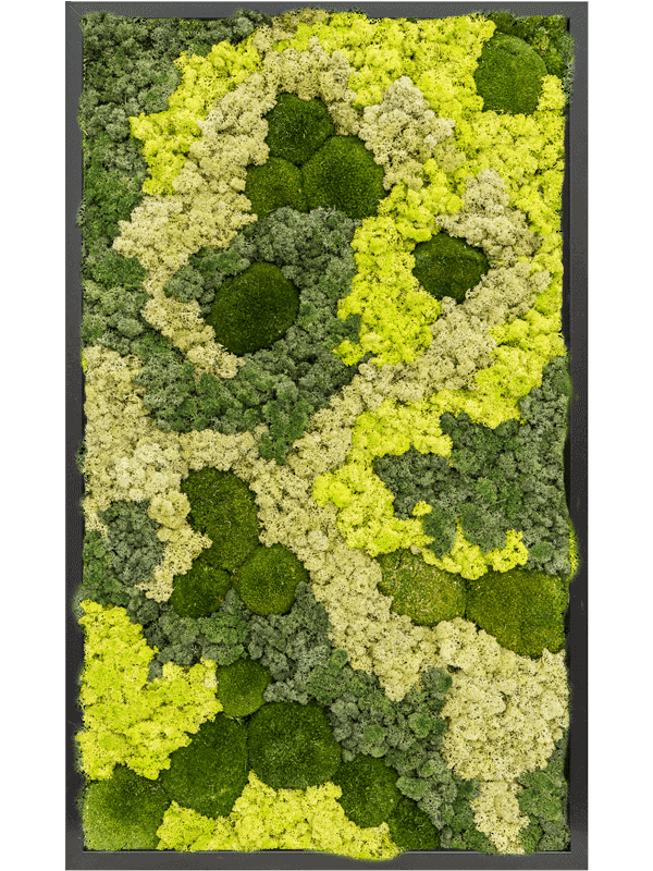 Картина из мха mdf ral 9005 satin gloss 30% ball moss 70% reindeer moss (mix) - фото 72312