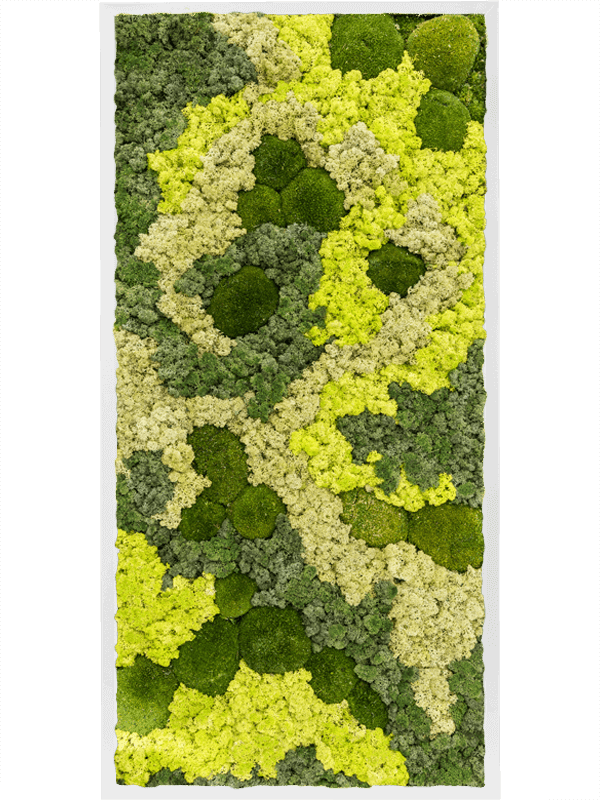 Картина из мха mdf ral 9010 satin gloss 30% ball moss 70% reindeer moss mix (искусственная) Nieuwkoop Europe - фото 72447