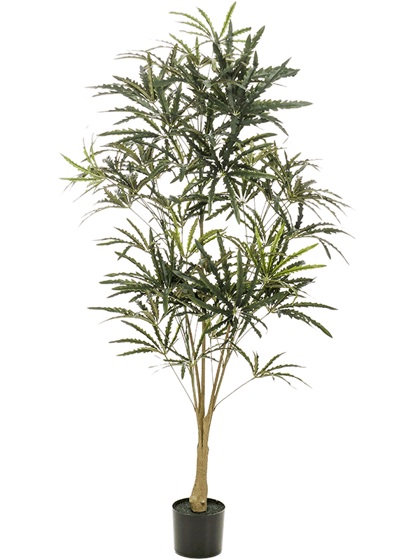 Плеранда elegantissima 145 (искусственная) Nieuwkoop Europe - фото 72501