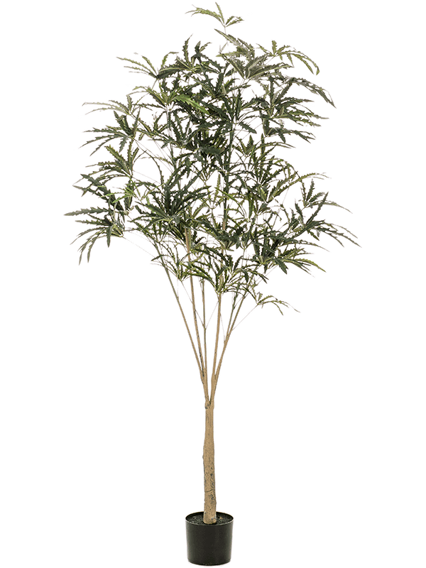 Плеранда elegantissima 195 (искусственная) Nieuwkoop Europe - фото 72502