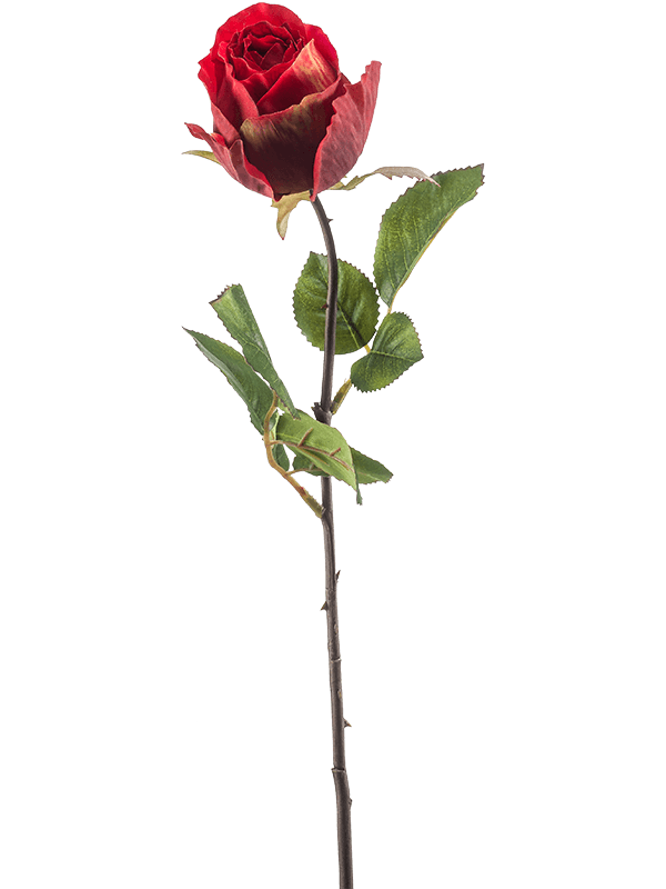 Роза Фемке красная (искусственная) Nieuwkoop Europe - фото 73147