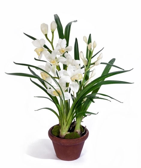 Орхидея Цимбидиум белая малая в кашпо (искусственная) Treez Collection - фото 8125