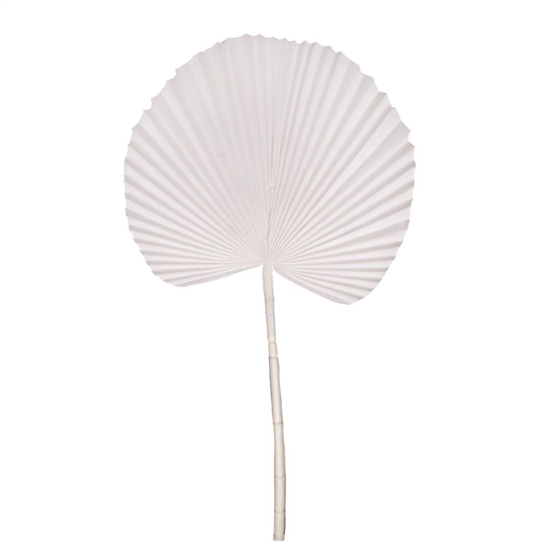 7143/0030-88/23(Акция) Лист Веерной пальмы круглый h81см (50+31) белый 28455 - фото 93876