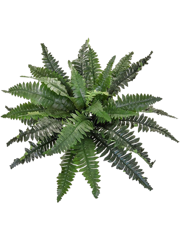 Папоротник Бостон 70/35 (искусственный) Nieuwkoop Europe 37319 - фото 94226