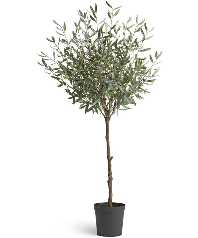 Олива Топиари Шар (серия Prime) искусственная (Treez Collection) 38254 - фото 96656