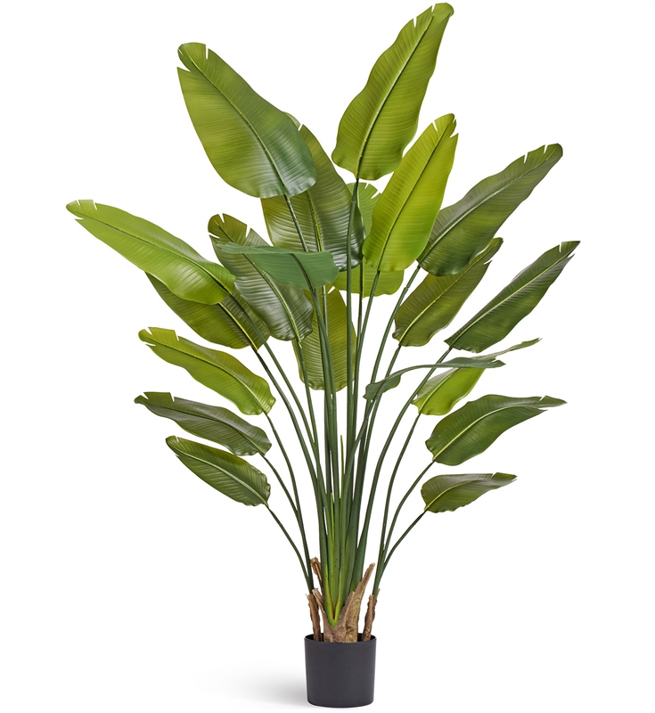 Стрелиция New Style с UV-защитой (Sensitive Botanic) 180 искусственная (Treez Collection) 38204 - фото 96714