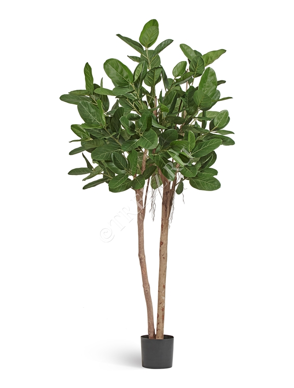 Фикус Одри Бенгальский 200 (искусственный) Treez Collection 39301 - фото 99793