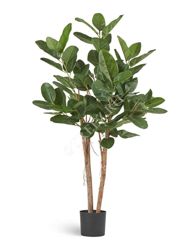 Фикус Одри Бенгальский 140 (искусственный) Treez Collection 39302 - фото 99794