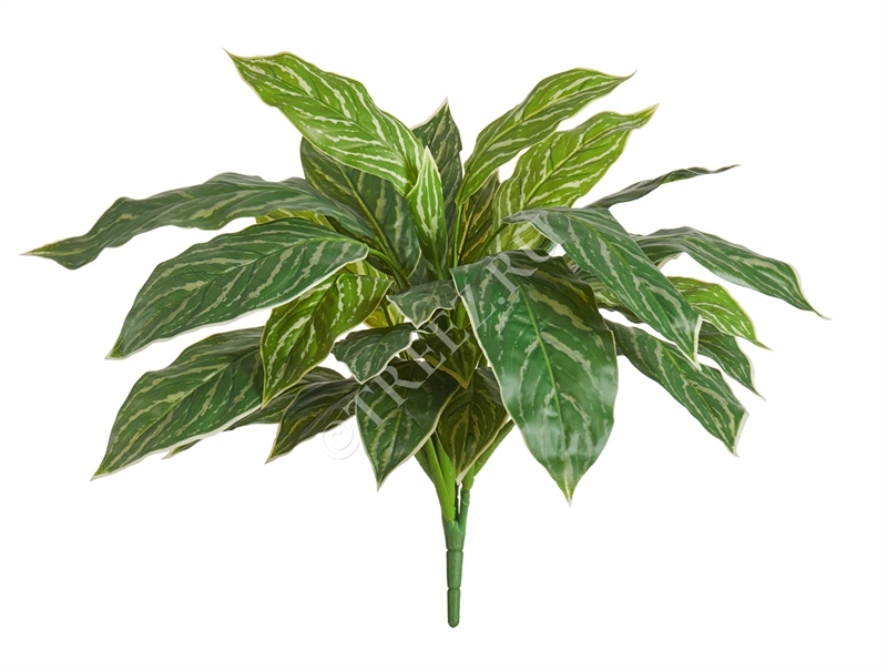 Аглаонема Страйпс куст бело-зелёный (искусственный) Treez Collection 39305 - фото 99797