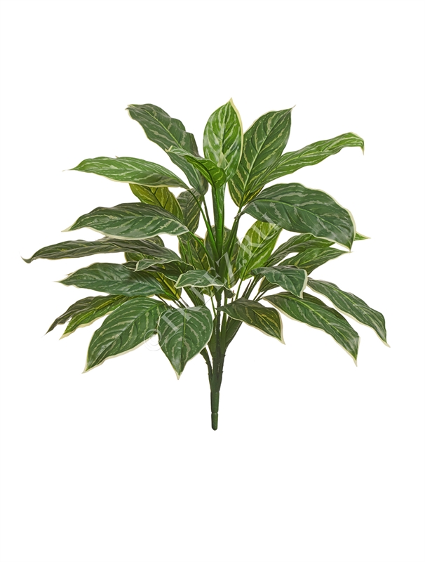 Аглаонема Страйпс куст большой бело-зелёный (искусственный) Treez Collection 39306 - фото 99798