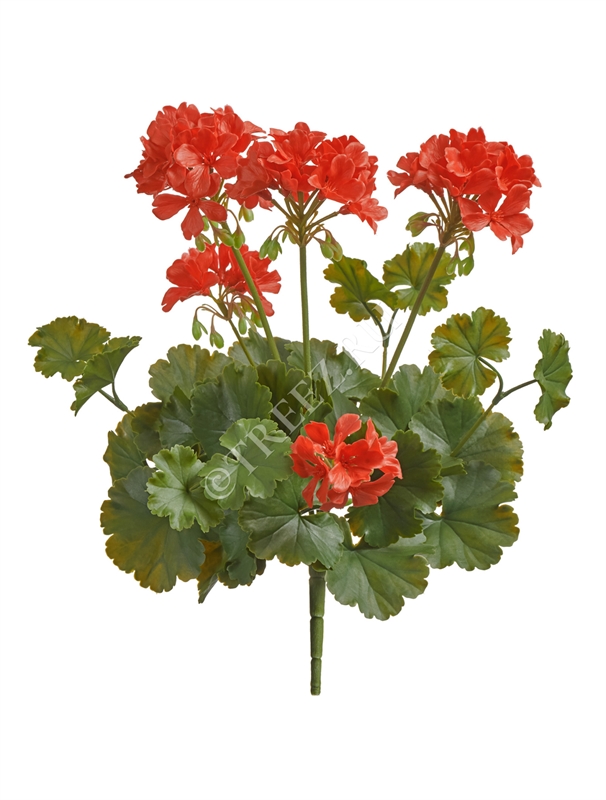 Герань красная цветущий куст (UV-фильтр) (искусственная) Treez Collection 39311 - фото 99803