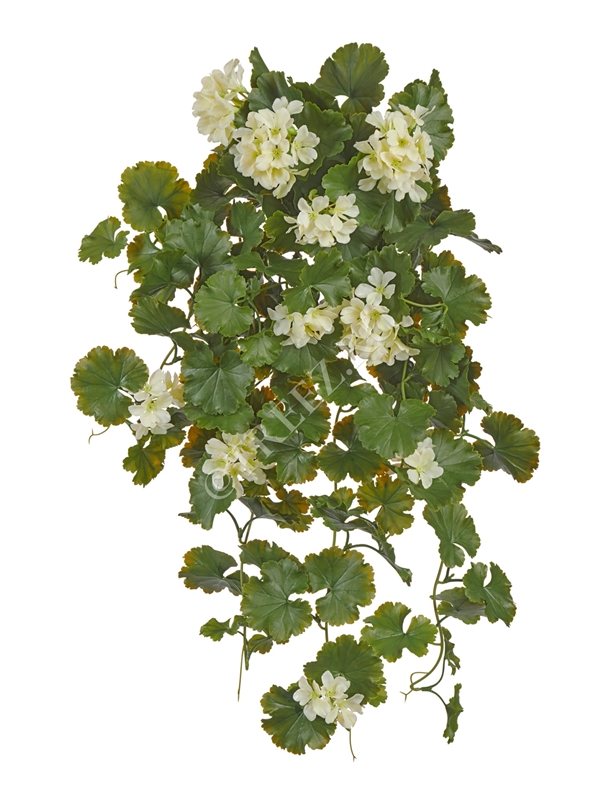 Герань ампельная кремовая (UV-фильтр) (искусственная) Treez Collection 39312 - фото 99804