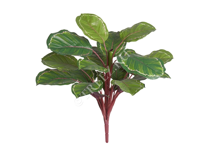 Калатея Розеопикта Грин куст (искусственная) Treez Collection 39316 - фото 99808