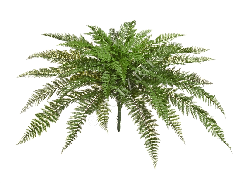 Папоротник Вудвардия большой (искусственный) Treez Collection 39320 - фото 99812