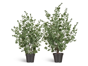 Эвкалипт куст припылённо-зелёный (искусственный) Treez Collection 39651